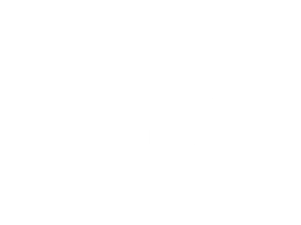 Elevra Consulting logo