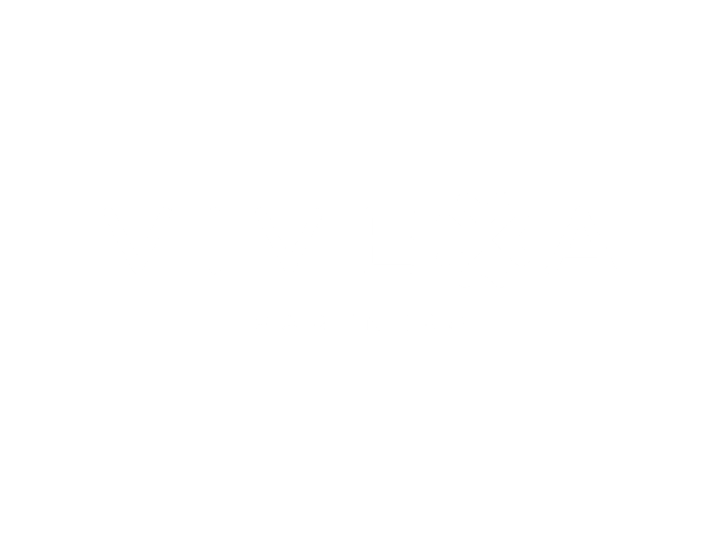Vivexa Partners logo